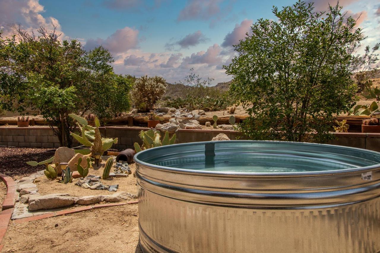 @ Marbella Lane - The Wine Mine Desert Escape Джошуа Три Екстериор снимка